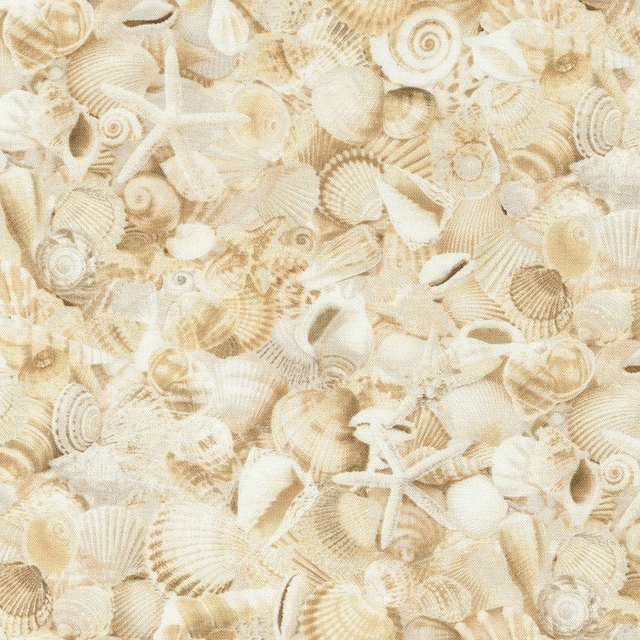 COQUILLAGES