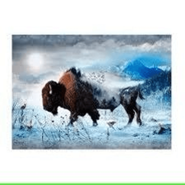 PANNEAU BISON