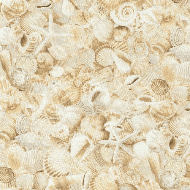 COQUILLAGES