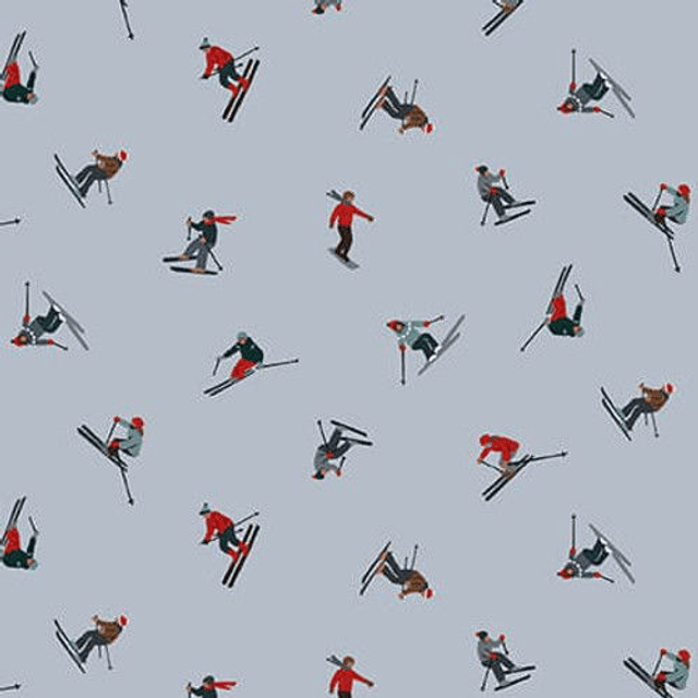 LES SKIEURS
